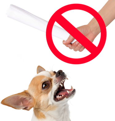 Proč pes vrčí na pána?